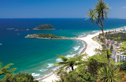 Top Bay of Plenty Hospitality & Gastronomy Spots
