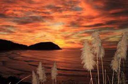 Top Gisborne Hospitalities & Gastronomies Guide