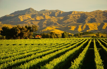 Top Hospitality & Gastronomy in Marlborough