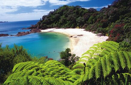 Top Northland Hospitalities & Gastronomies