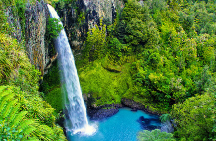 Top Waikato Hospitality & Gastronomy Spots