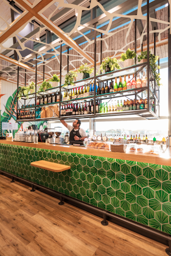 Wondertree - Auckland