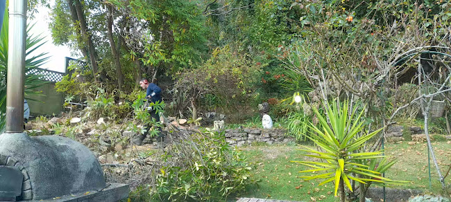 Comentarii opinii despre Alberico's Italian Restaurant