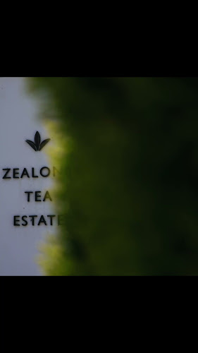 Zealong Tea Estate - Tea Room