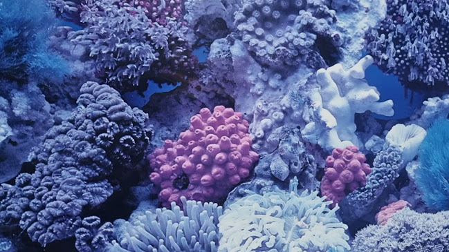 Reviews of Te Ngae Fish Supply in Rotorua - Hospitality and gastronomy