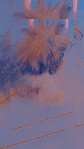 Reviews of McCafé in Tauranga - Hospitality and gastronomy