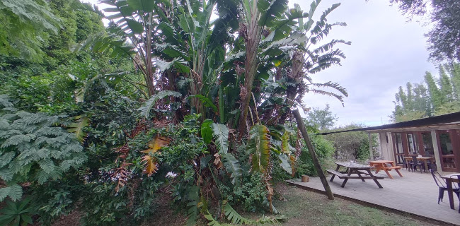 The Rusty Tractor Café & Trading Store - Hospitality and gastronomy