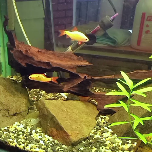 Thai Sunshine Restaurant