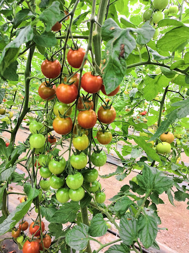 Pomona Gardens - Hastings