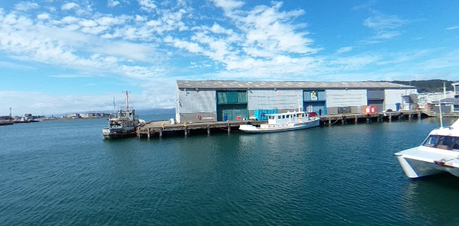 Opinii despre Foxglove Bar & Kitchen în Wellington - Hospitality and gastronomy