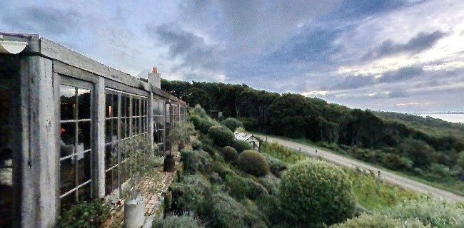 Reviews of The Archive Bar & Bistro in Waiheke Island - Hospitality and gastronomy