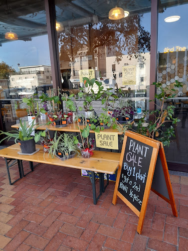 Comentarii opinii despre Bird The Word