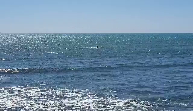 Opinii despre Maketu Beachside Cafe & Restaurant în Maketu - Hospitality and gastronomy