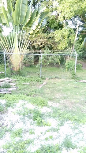 McDonald's Basin Reserve - Wellington