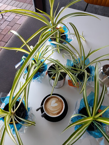 1118 Fenton Street, Rotorua 3010, New Zealand