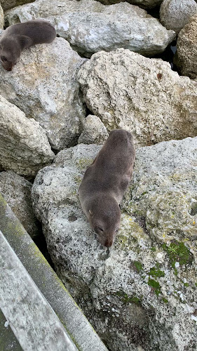 The Gintrap Restaurant & Bar - Napier