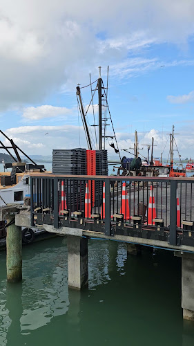 Comentarii opinii despre Raglan Fish