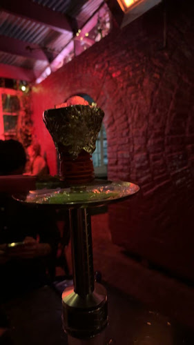 Opinii despre Shady Lady în Wellington - Hospitality and gastronomy