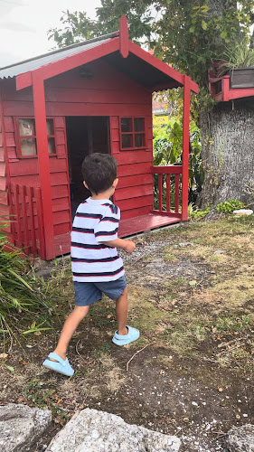 Native Tree Cafe - Hospitality and gastronomy