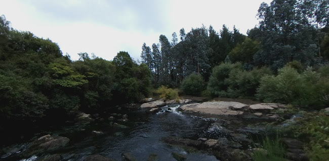 Opinii despre Niagara Falls Cafe în Niagara - Hospitality and gastronomy