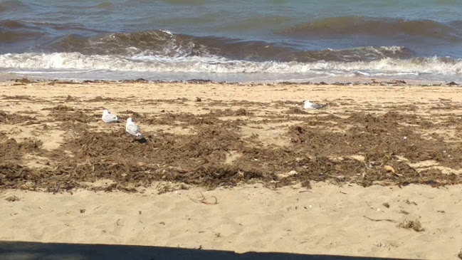 46 Cheltenham Road, Devonport, Cheltenham 0624, New Zealand