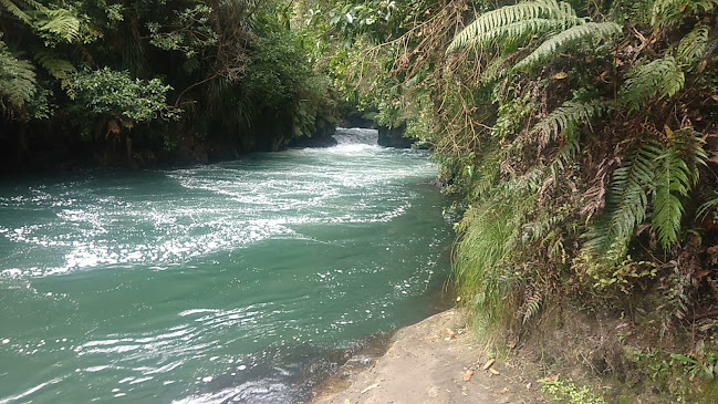 Okere Falls Store + Craft Beer Garden - Hospitality and gastronomy