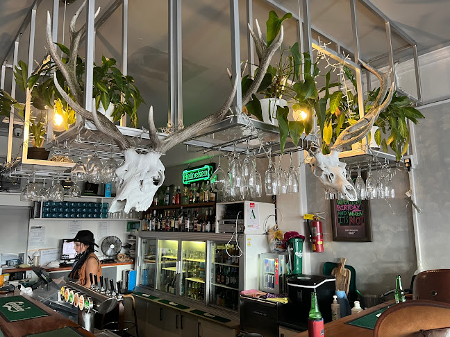 Belmont Bar - Hospitality and gastronomy