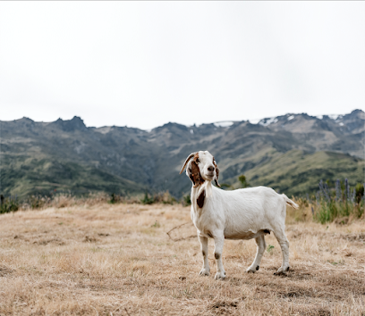 Nanny Goat Vineyard & Cellar Door