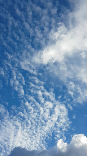 KK BAKERY & CAFE Open Times