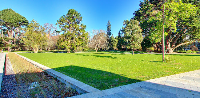 Ilex Café - Christchurch