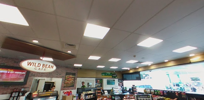 wildbean cafe - Hospitality and gastronomy