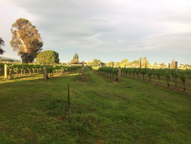 5 Mills And Ford Road East, Grovetown, Blenheim 7273, New Zealand