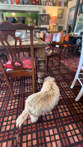 Reviews of Primo E Secundo in Methven - Hospitality and gastronomy