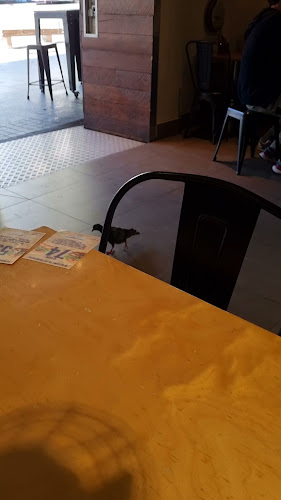 BurgerFuel Queen Street