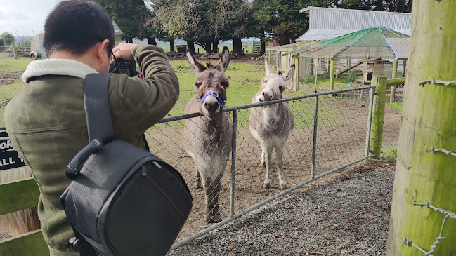 The Shearers Quarters