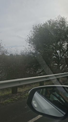 Opinii despre Fitzgerald Glade în Tīrau - Hospitality and gastronomy