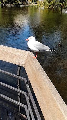 Botanic Christchurch Phone number