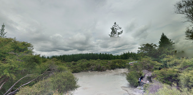 Zippy Central Bar & Cafe.