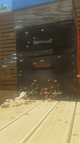 Reviews of No 7 Balmac in Dunedin - Hospitality and gastronomy