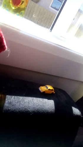 Opinii despre St Kilda Tavern în Dunedin - Hospitality and gastronomy