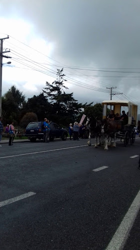 Catlins Cafe - Owaka