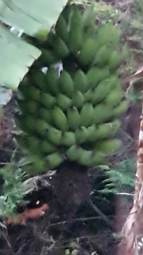 34 Hawken Road, Maunu, Whangārei 0179, New Zealand