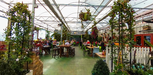 Comentarii opinii despre Kings Garden Cafe Henderson