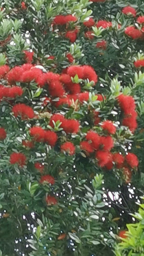 Harlau House Cafe (formerly The Stables) - Fairview