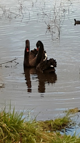 Comments and reviews of KK BAKERY & CAFE