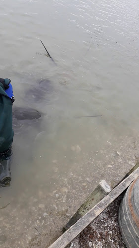 Comments and reviews of Ohiwa Oyster Farm