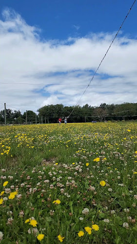The Strawberry Patch