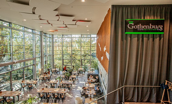 17 Grantham Street, Hamilton Central, Hamilton 3204, New Zealand