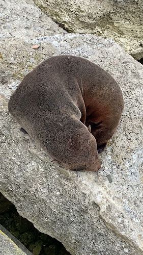 64 West Quay, Ahuriri, Napier 4110, New Zealand