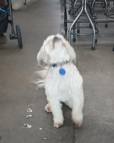 BEERS by Bacon Brothers - Hospitality and gastronomy